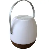 Human Comfort Cosy Lamp Pintac