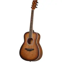 Fazley W55-COL-BR-3/4 ColourTune western gitaar bruin