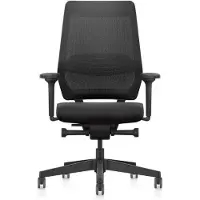 Interstuhl Ergonomische Bureaustoel JOYCEis3 NPR 1813 - Rugleuning Netbespanning - Zitting Gestoffeerd Era Zwart - 4D Armleggers - Frame Zwart