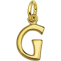 The Jewelry Collection Hanger Letter G - Geelgoud (14 Krt.)