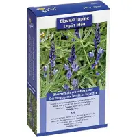Buzzy seeds - Zaden groenbemester lupine blauwe bittere 100 gram