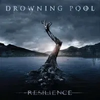Cd Resilience