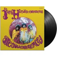 Bertus Distributie The Jimi Hendrix Experience - Are You Experienced | LP