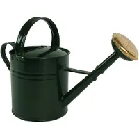 Talentools - Gieter - Metaal - 5L - Groen