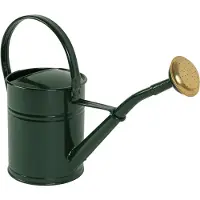 Talentools Gieter | | 2 liter (Broeskop, Metaal, Groen)