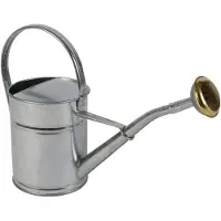 Talentools Gieter | | 2 liter (Broeskop, Metaal, Verzinkt)