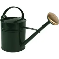Talentools Gieter | | 10 liter (Broeskop, Metaal, Groen)