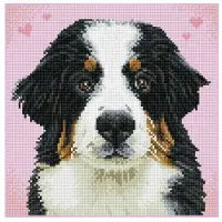 Diamond Dotz Dog Zuzu - Diamond Painting - 11.664 Dotz - 29x29 cm