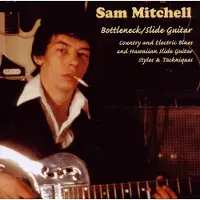 Import Bottleneck/ Slide Guitar