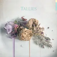 Ginza.se Tallies