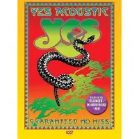 Import Yes - Yes Acoustic