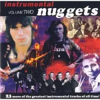 Bertus Distributie Instrumental Nuggets Vol. 2