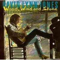 Coast2Coast David Lynn Jones - Wood, Wind And Stone (CD)