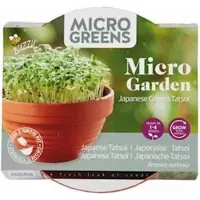 Buzzy Microgreens Kiemgroentezaad Tatsoi (Brassica Narinosa) 6,2 X 6,2 X 11 Cm