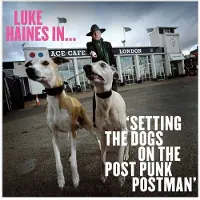 Socadisc Cnt Luke Haines In...Setting The Dogs On The Post Punk