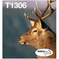 Epson T1306 Cartridges Combo Pack