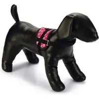Beeztees Hondenharnas Heart roze 26 - 35 cm x 15 mm