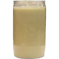 Spaas Candles 12x Witte grafkaarsen/gedenklichten 6 x 10 cm 3 dagen - Gedenkkaars -
