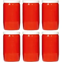 Spaas Candles 6x Rode grafkaarsen/gedenklichten 6 x 10 cm 3 dagen - Gedenkkaarsen -
