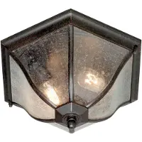 ELSTEAD Bronskleurige buiten plafondlamp New England, helder / transparant, metaal, plafondlamp