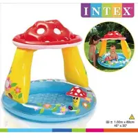 Intex Mushroom Baby Pool