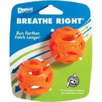 Chuckit! - Breathe Right Fetch Ball - Medium - 6,5cm - (CHUC31932)