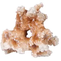 Aqua Della Koraal 17,5x11x19,5 Cm Lichtroze Wit