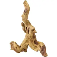 Aqua Della Decor Coffee Root - Aquarium - Ornament - 20x10x21 cm No. 2
