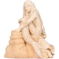 Ebi Aqua Della Ariel L (Andere objecten)