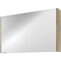 Proline Comfort Spiegelkast Met 2 Houten Deuren - Raw Oak - 100x60cm - Spiegels, Spiegelkasten - 8718835151089