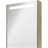 Proline Premium Spiegelkast Met LED Verlichting - Met Houten Deur - Raw Oak - 60x74cm - Spiegels, Spiegelkasten - 8718835151560