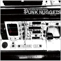 Bertus Distributie Not Good For Your Health: Punk Nuggets 1972-1984