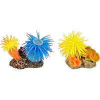 Flamingo Aquarium Leo anemoom+rots - 10 x 7 x 7 cm