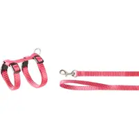 Flamingo Kittenharnas met looplijn Ziggi Roze
