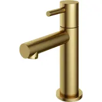 Hotbath Fonteinkraan Dude 1-hendel Recht 14.8 cm Rond Geborsteld Messing PVD