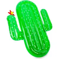 Didak Pool - Luchtbed - Luxe Cactus - 185x132x20 cm