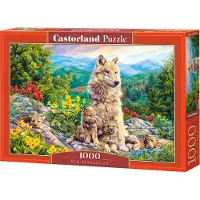 Castorland New Generation – Puzzel – 1.000 stukjes – Satijnen afwerking – Perfecte pasvorm – Europese kwaliteit