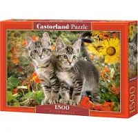 Castorland Kitten Buddies Puzzel (1500 stukjes)
