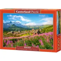 Castorland Hala Gasienicowa,Tatras Puzzel (1000 stukjes)