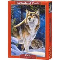 Castorland Sentinel Puzzel (1000 stukjes)
