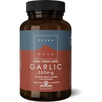 Terranova Garlic 500 mg (100 capsules)