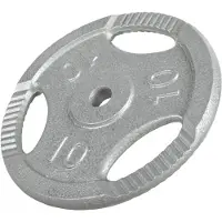 Gorilla Sports Halterschijf 10 kg gripper gietijzer zilver 30 mm