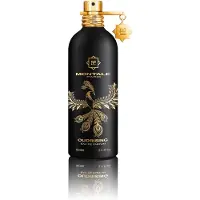 Montale Fragrances Aoud Oudrising Eau de Parfum Spray 100 ml