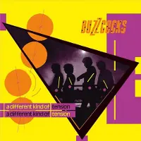 Domino Buzzcocks - A Different Kind of Tension (LP)