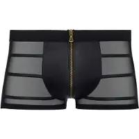 NEK – Uitdagende Shorts met Rits Sluiting en Powernet Inzet Stukken voor de Stoere Heren – Maat L – Zwart