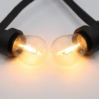 LumenXL Prikkabel set - 10m - 20 LED's - 1 watt filament lampen