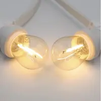 LumenXL Lichtsnoer wit - 25 meter met 25 lampen - 1W LED filament - kleur van gloeilamp (2700K)