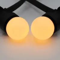 LumenXL Lichtsnoer - 50 meter met 100 lampen - 1W lampen met melkwitte kap - kleur van kaarslicht (2000K)