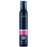 Indola Semi-permanent hair colour Color Style Mousse Silver