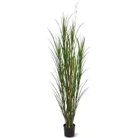 Maxifleur Kunstplanten Kunst Rietgras plant deluxe 165cm - groen - UV bestendig